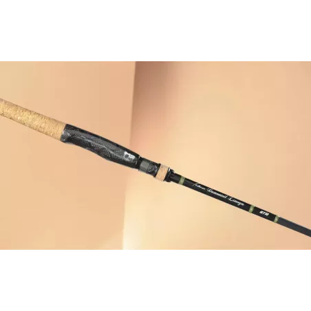 Canne pour la Perche haute performance - Dumonteil Limoges