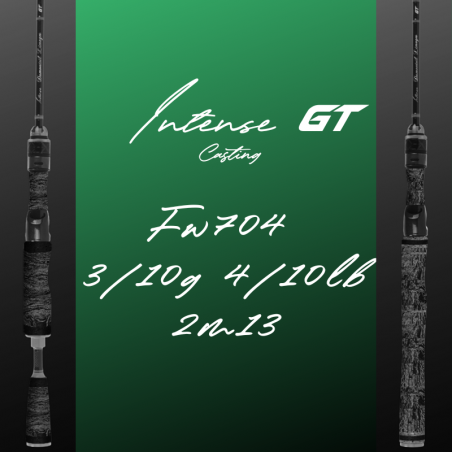 Intense GT - FW704 - 3/10G - 2M13- Casting - Liège