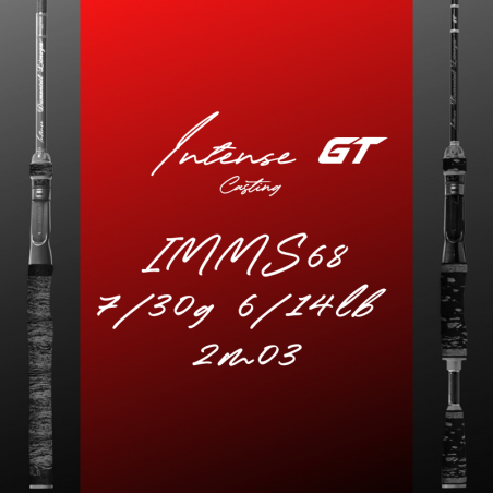 Intense GT - IMMS68 - 7/30G - 2M03 - Casting - Liège