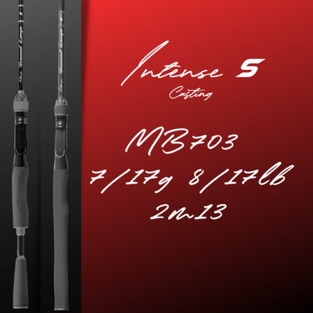 Canne à pêche sur mesure  pour black bass , chevesne ou perche| Dumonteil Limoges | Casting |Mod.MB703|float tube