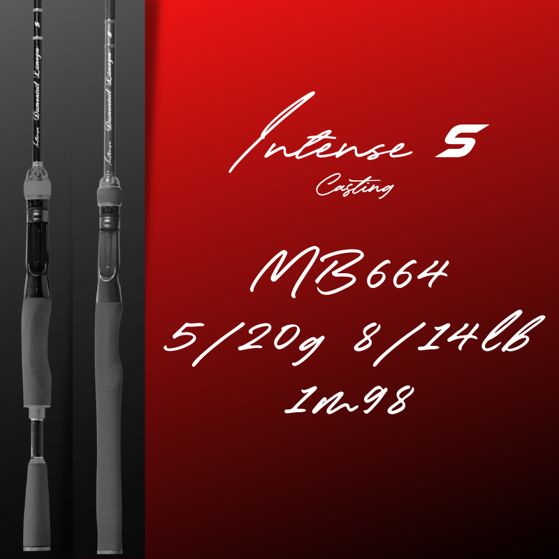 Canne à pêche casting haute qualité pour perche et black bass | Dumonteil Limoges | sur mesure|Mod.MB664